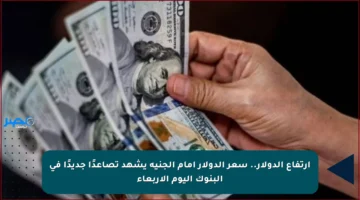 ارتفاع الدولار.. سعر الدولار أمام الجنيه يشهد تصاعدًا جديدًا في البنوك اليوم الأربعاء